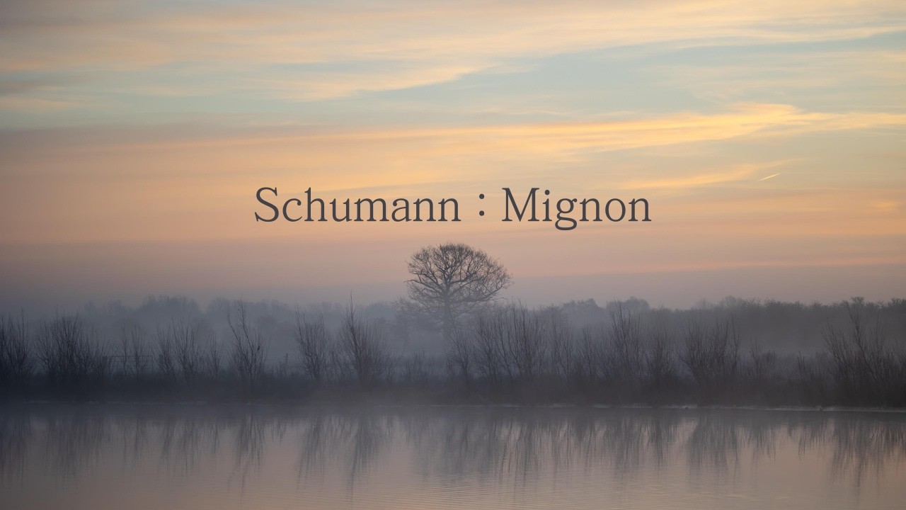 Schumann | Album for the Young Op.68, No. 35 'Mignon' 슈만 | 어린이를 위한 앨범 중 35번 '미뇽'