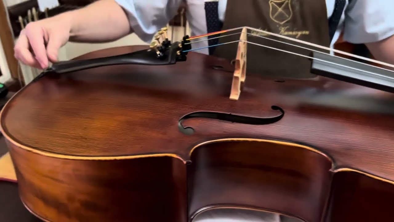 CELLO EAGLE CE310