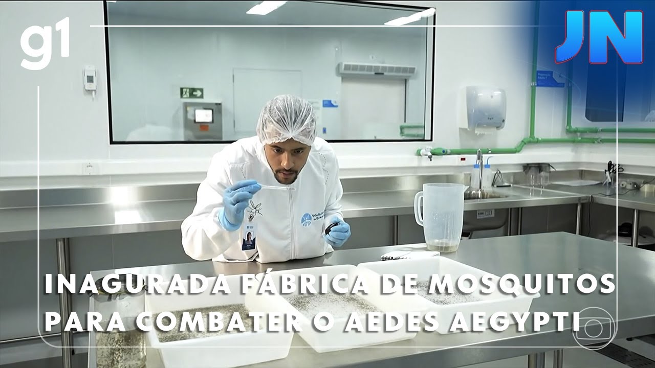 Jornal Nacional: Brasil inaugura maior fábrica de mosquitos do mundo em Curitiba