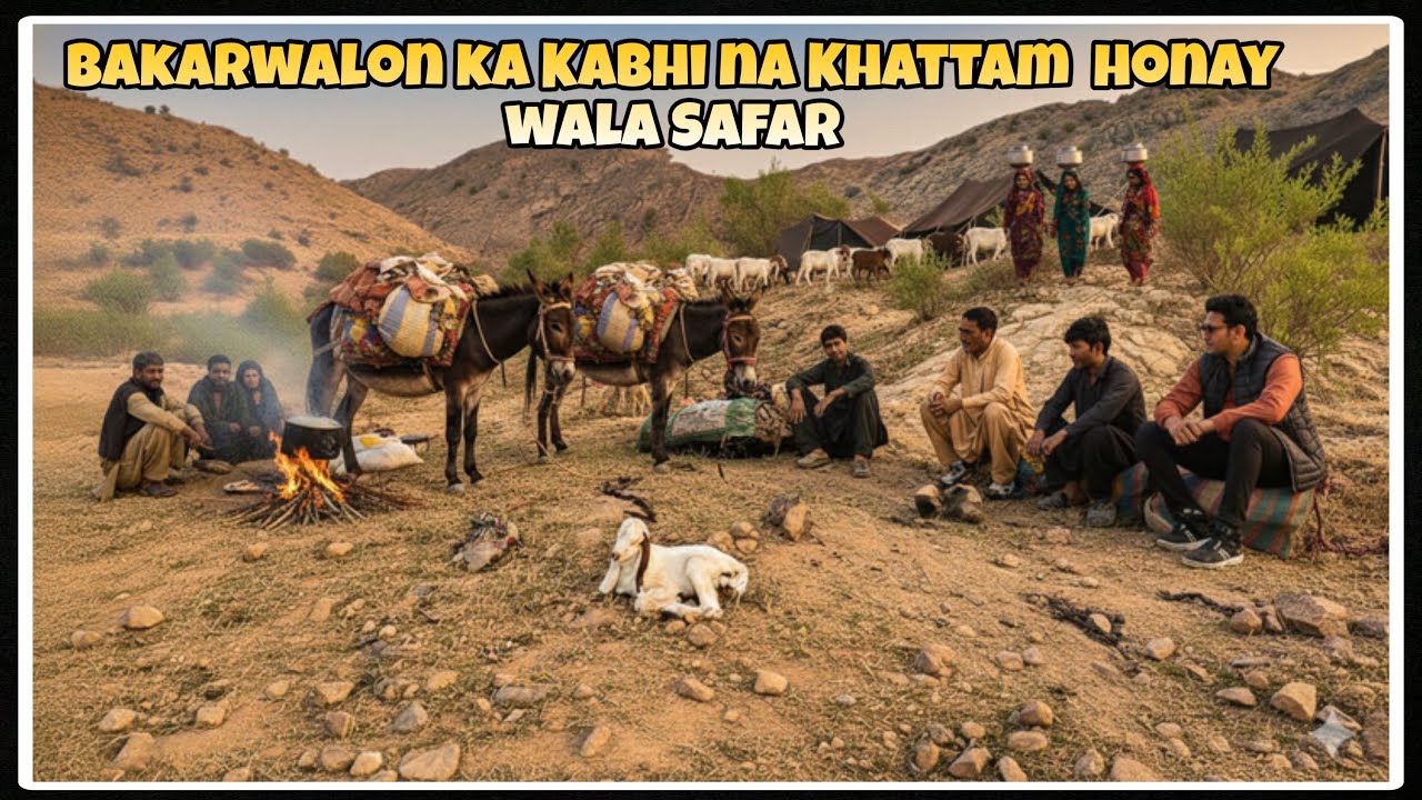 A day with Bakarwals | Nomad life in Kashmir Mountains
