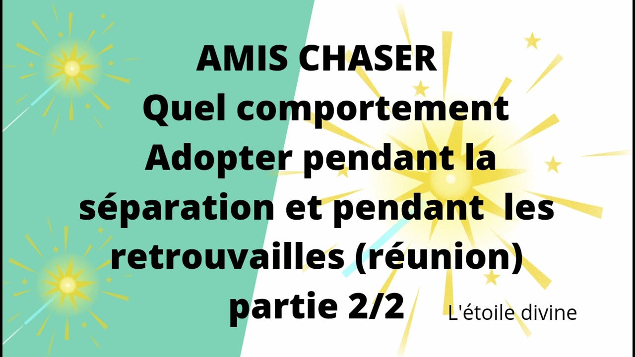 partie:2 le comportement du chaser avec son runner (retrouvailles/pré-réunion) #flammejumelle #âme