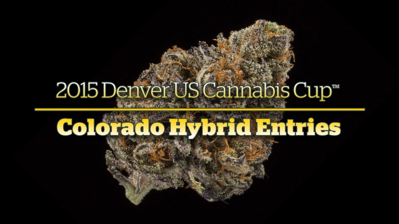 2015 Denver Cannabis Cup: Colorado Hybrid Entries