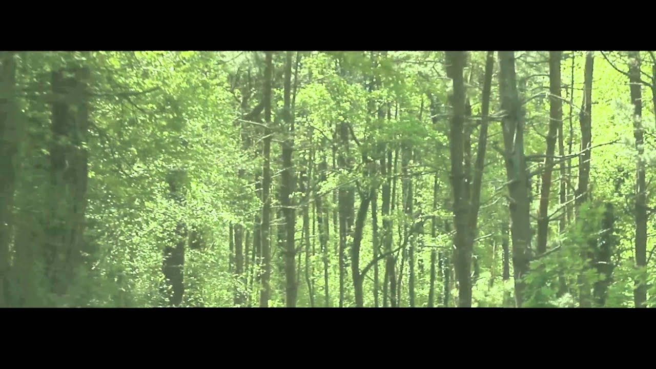 She - Charles Aznavour & Herbert Kretzmer - Whith chords and lyrics