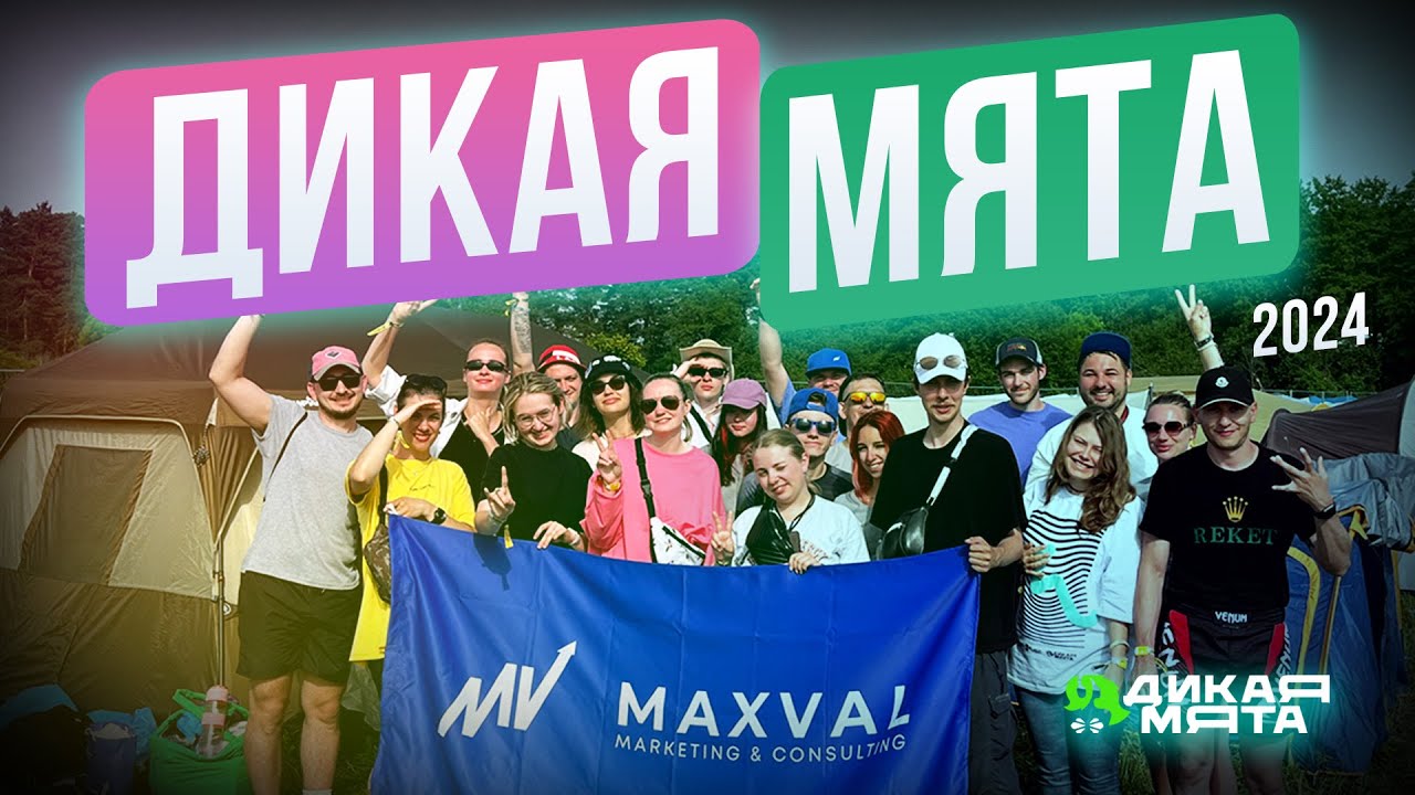 VLOG: ДИКАЯ МЯТА 2024 / Как мы поехали на фестиваль