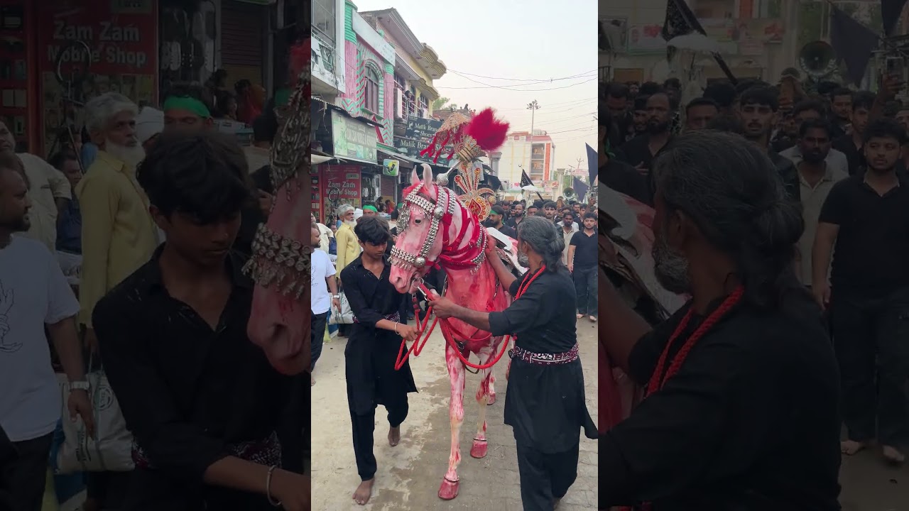 8th Muharram Mola Abbas a.s#video #zuljana #imamhussain #yahussain #karbala #muharram