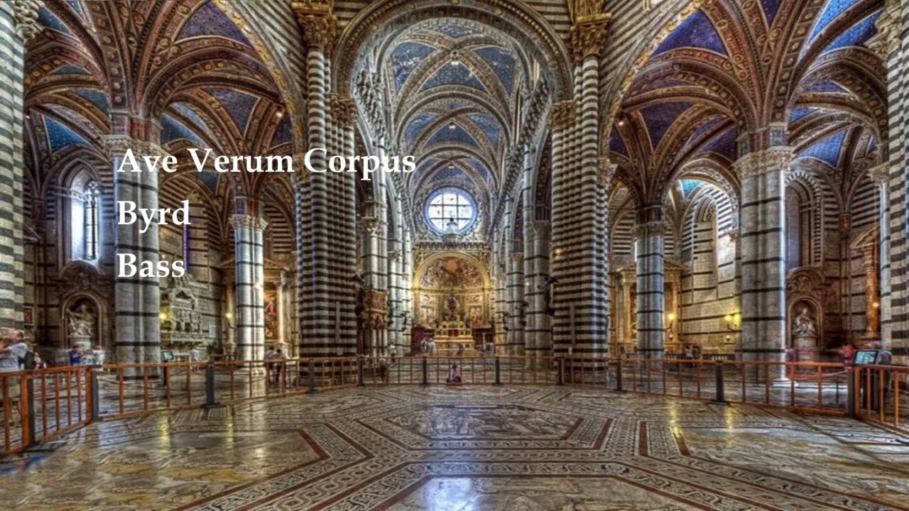 Ave Verum Corpus, Byrd, Bass, Fg, a4