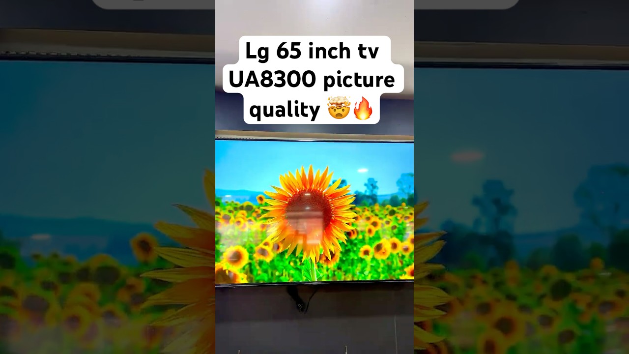 LG 65 Inch UA8300 TV Unboxing 😍 | Setup + Picture Quality 🔥