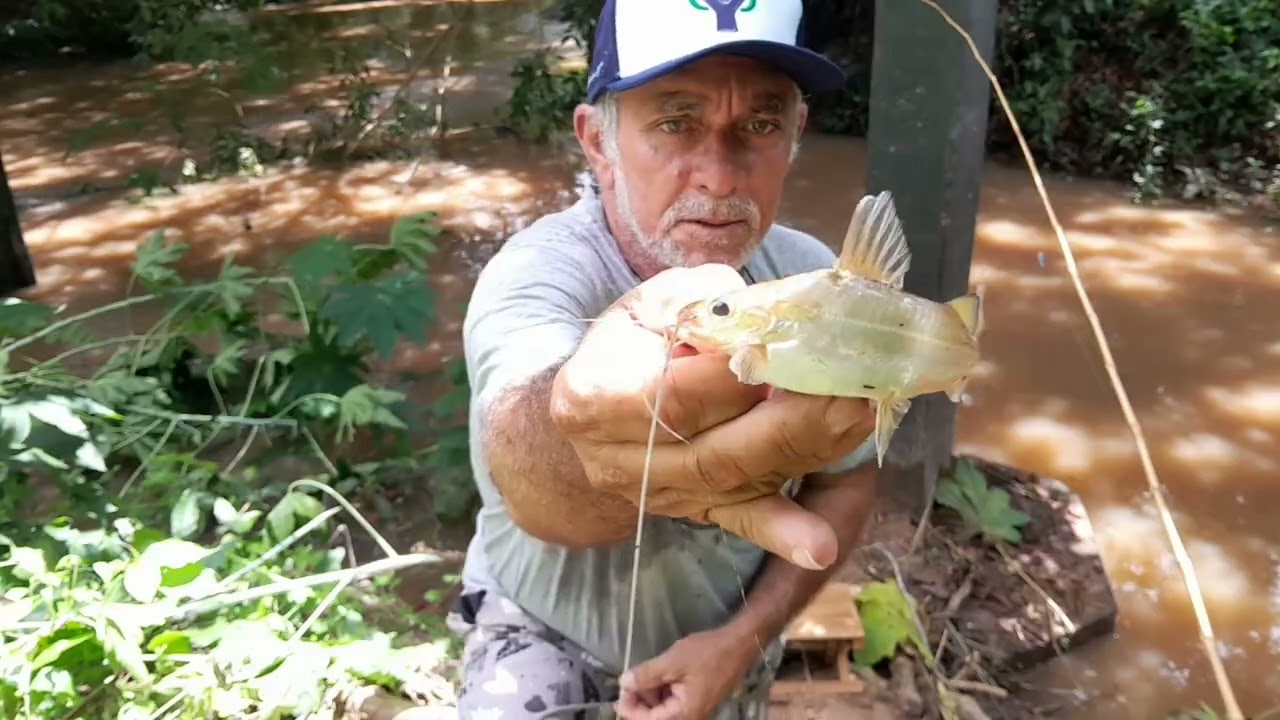 Pescaria de hoje: no fígado de galinha 