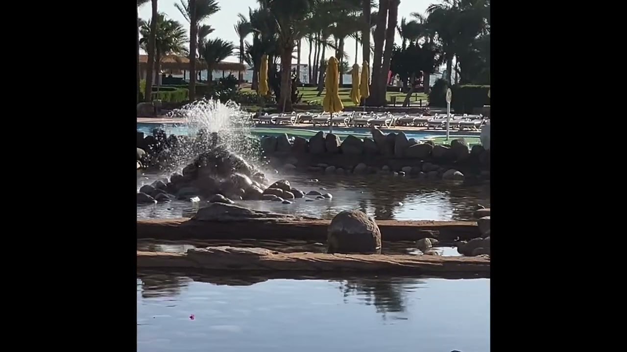 Aurora Oriental Resort Sharm El Sheikh January 2024