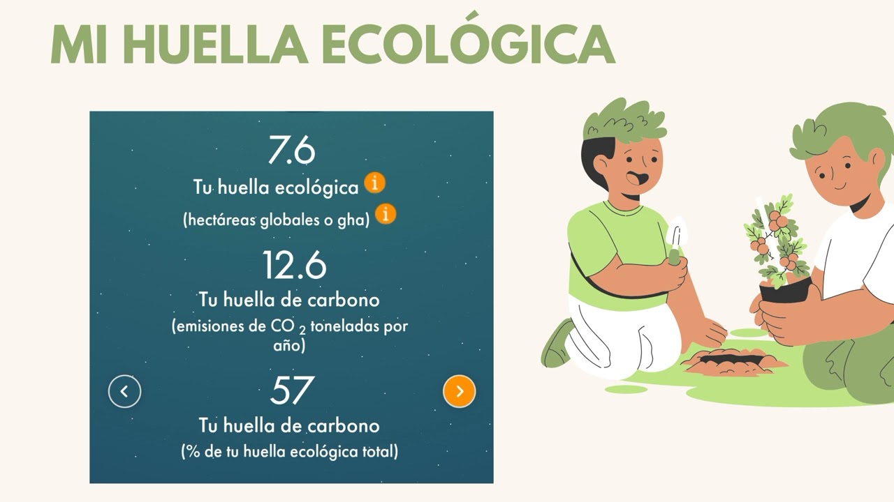 (AC-S14) AVANCE DEL PORTAFOLIO 3 INDIVIDUO Y MEDIO AMBIENTE UTP