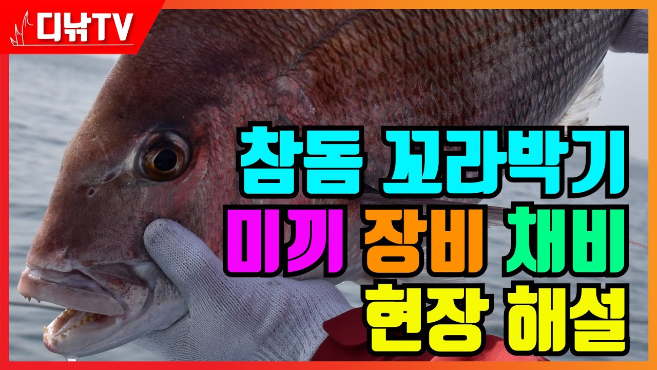 이렇게 준비하세요~ '참돔 꼬라박기' 장비/채비/미끼 현장 해설 [디낚TV 낚시공부방]