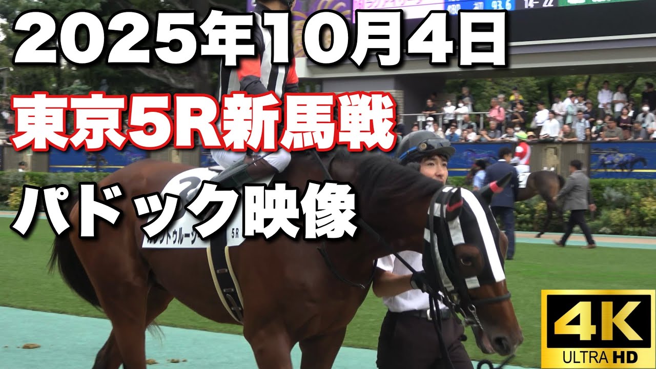 【4K動画】2025年10月4日東京5R新馬戦パドック【カレントゥルシー】