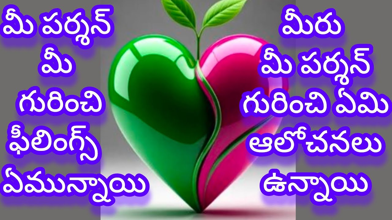 ❤️🧚మీరు ఒకరి గురించి ఒకరు ఎలాంటి ఆలోచనలు ఉన్నాయి 🤔 tarot reading today 