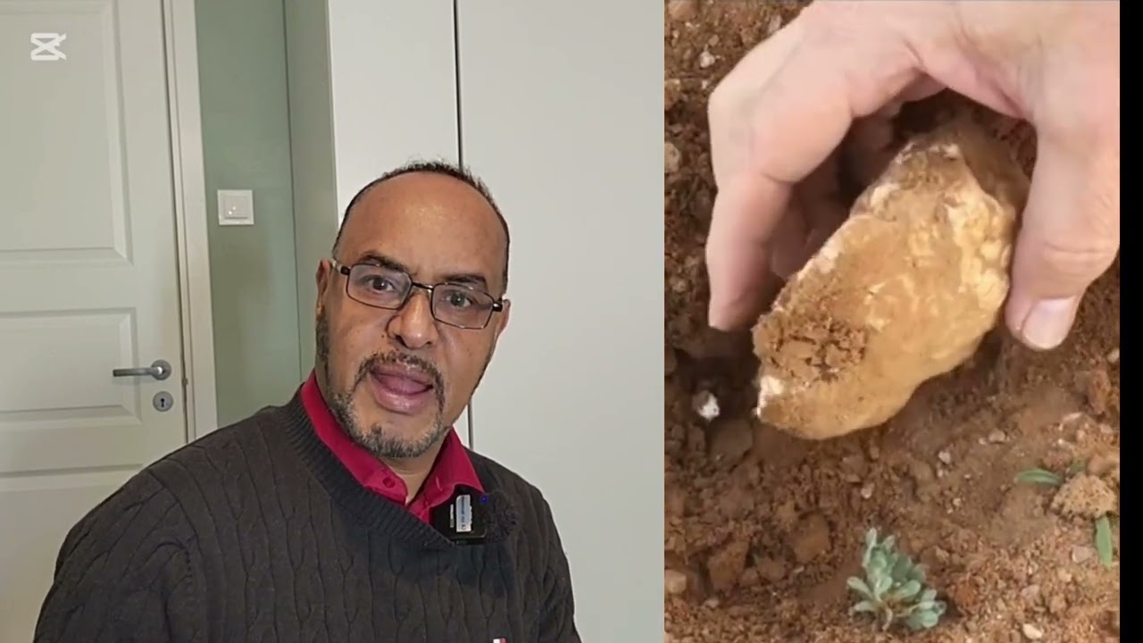 Sida loo baaro Truffle ama Timayuluqda . (Likeh). Xafiis lagaaga furayo waddankii.