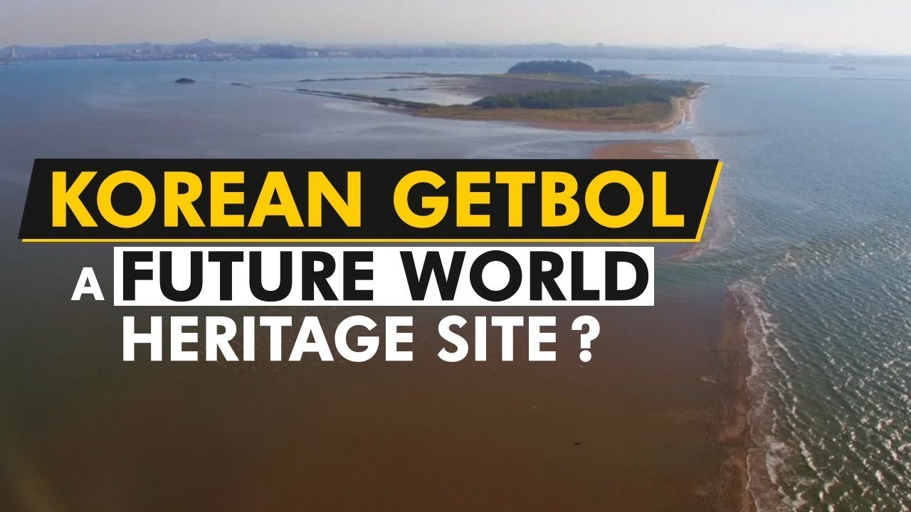 South Korea's tidal flats considered for UNESCO World Heritage status | Getbol | Tidal Flats | WION