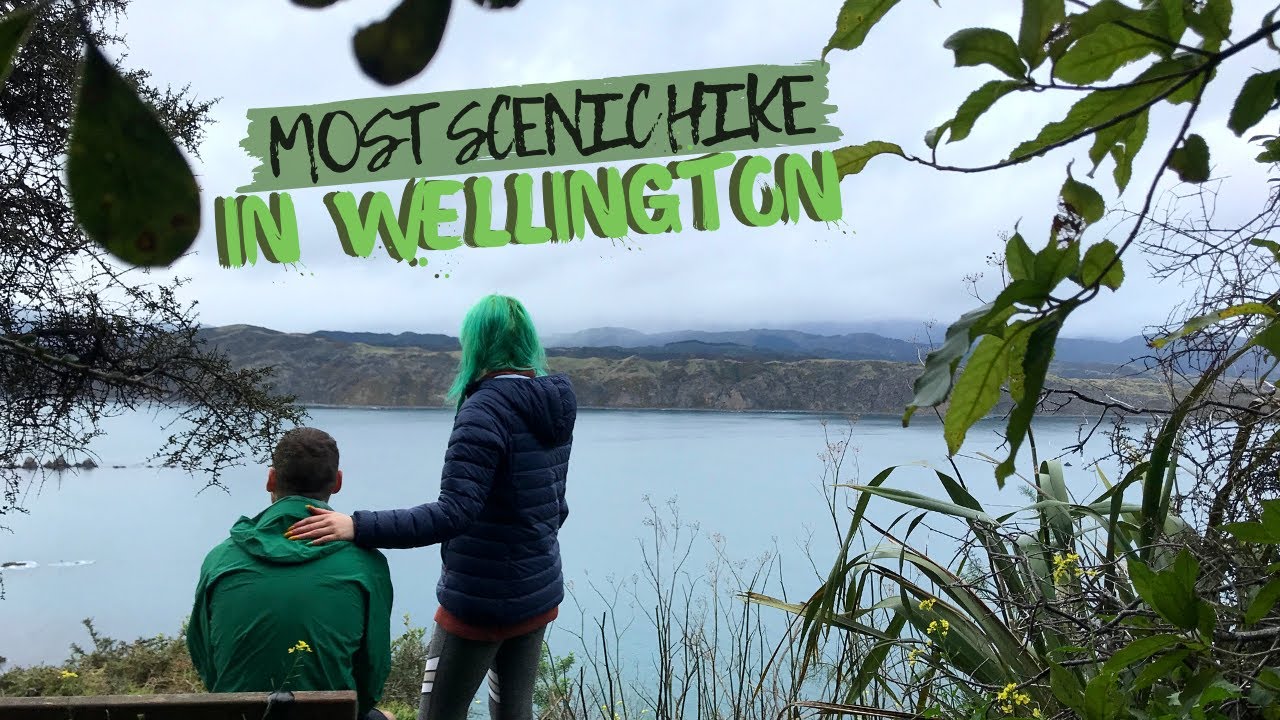 MOST SCENIC COASTAL HIKE in Wellington - MOA POINT TO BREAKER BAY