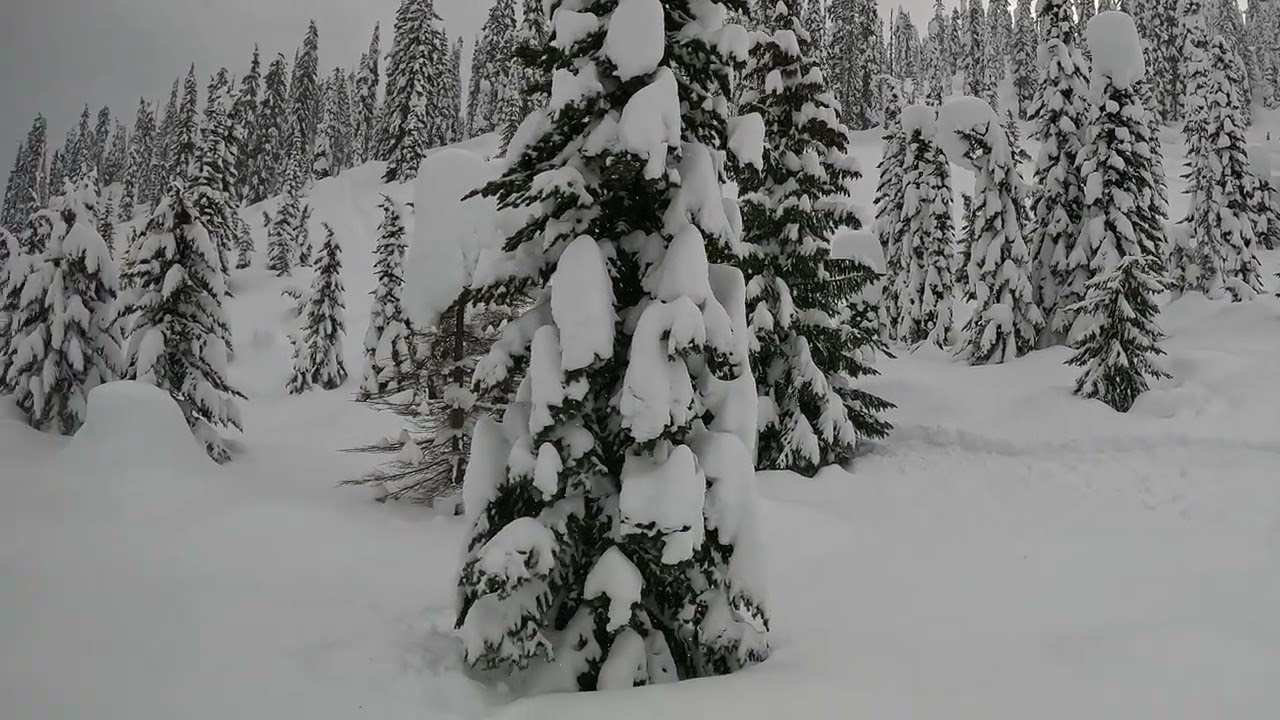 Skidoo Big Bore 912 Playing in the Deep Cherryville goods