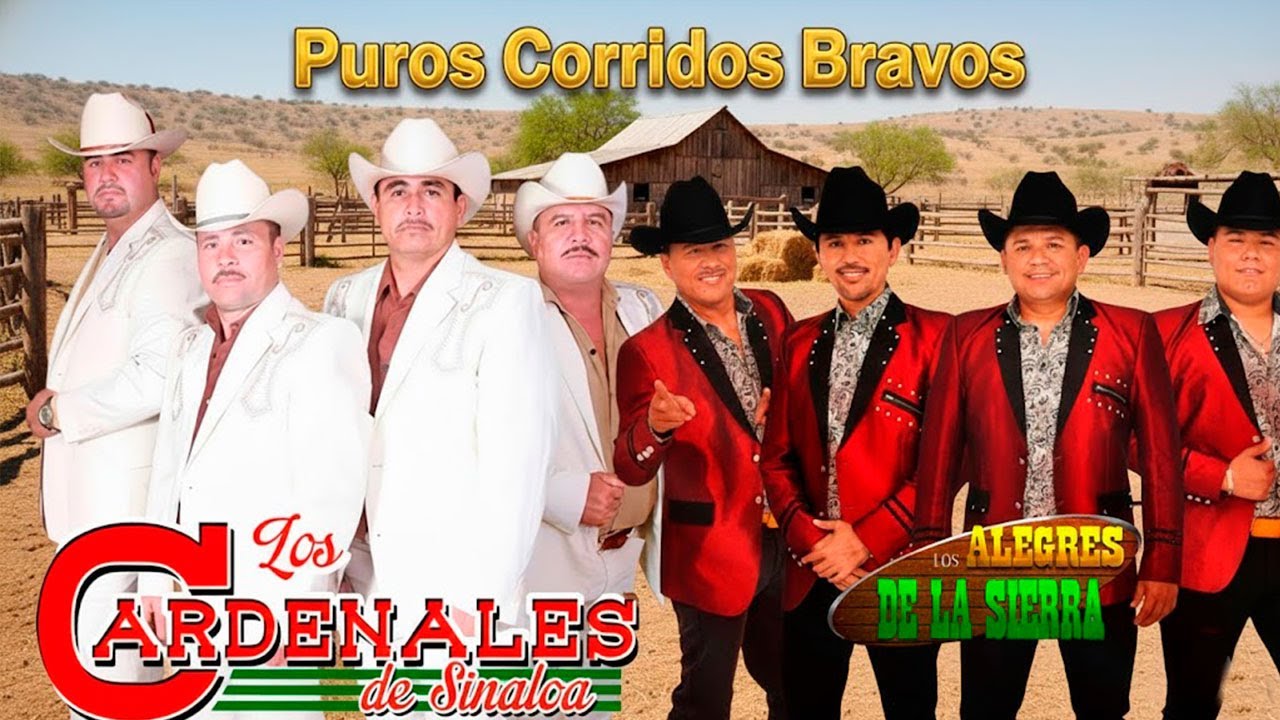 🔥 Alegres de la Sierra & Cardenales de la Sierra: 20 Corridos Pesados ¡Puros Éxitos Bravos!