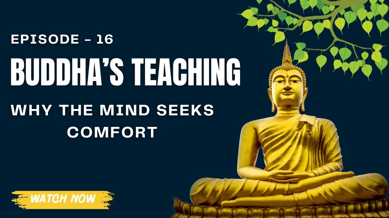 The Mind’s Addiction to Comfort | Buddha Wisdom Explained