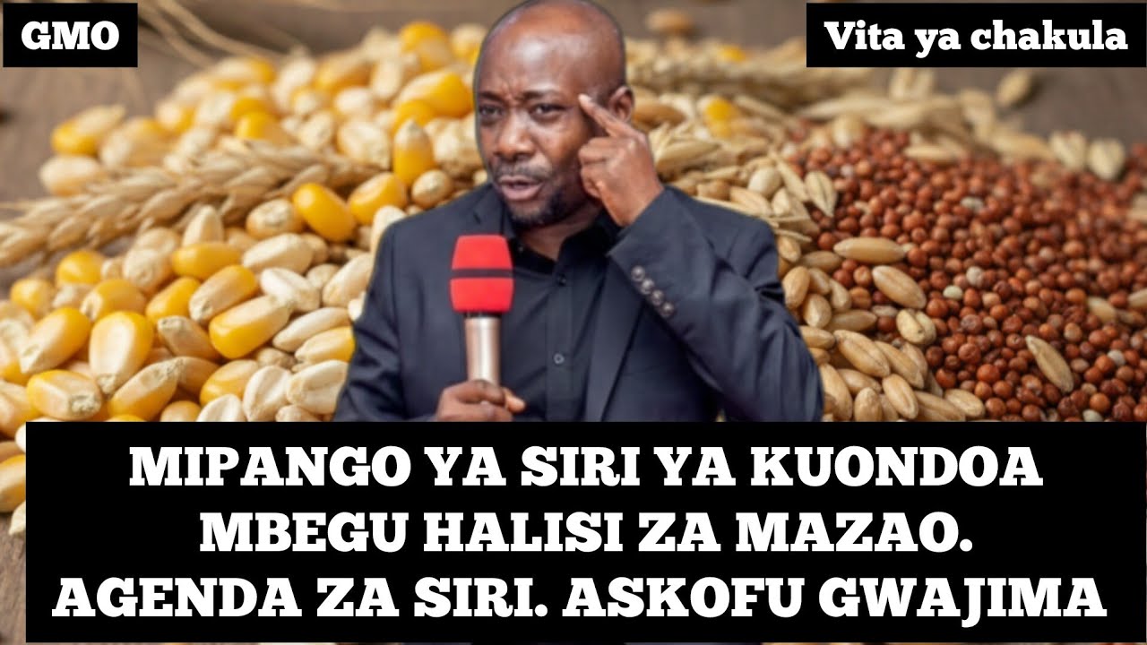 ASKOFU GWAJIMA: AGENDA ZA SIRI DUNIANI