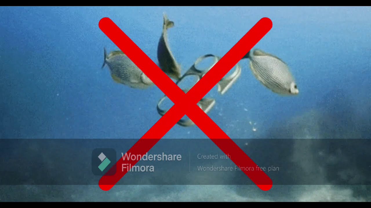 5 tips to save the oceans