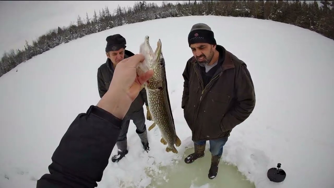 Pike & Trout Through The Ice