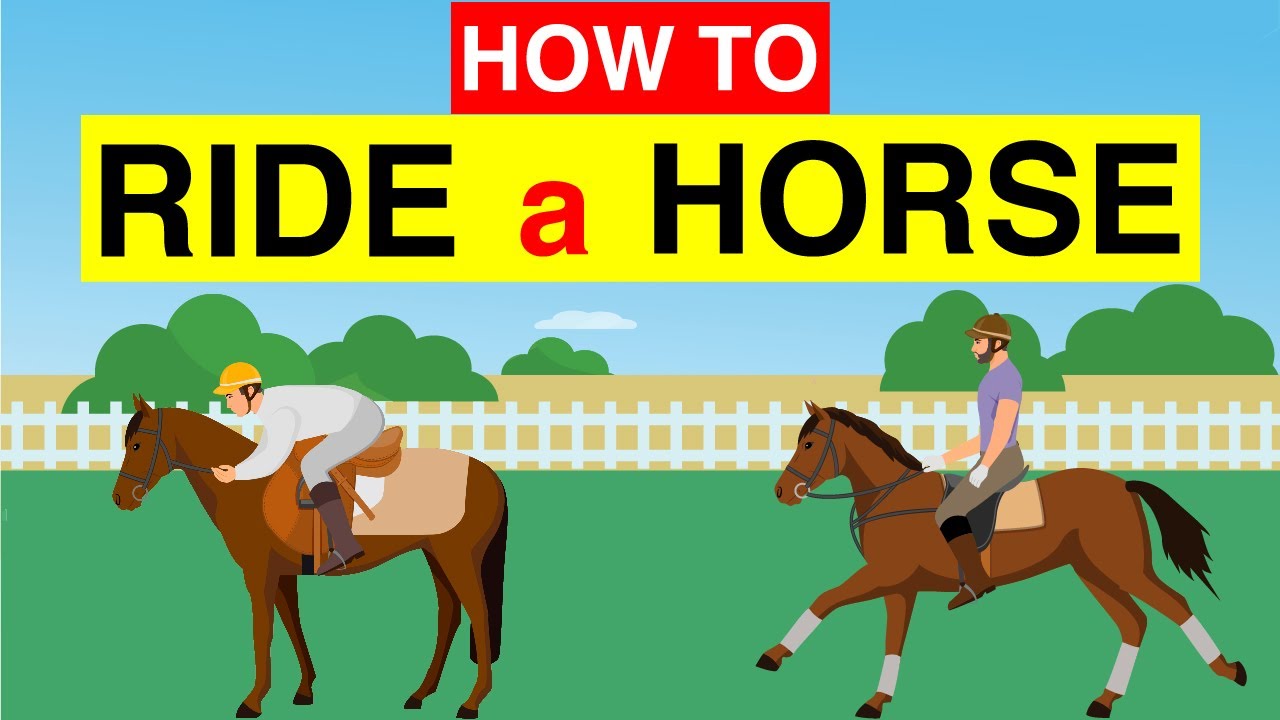 🐎 Научитесь ездить верхом на лошади 🏇 для начинающих всего за 3 минуты: обучающее видео по верхов...