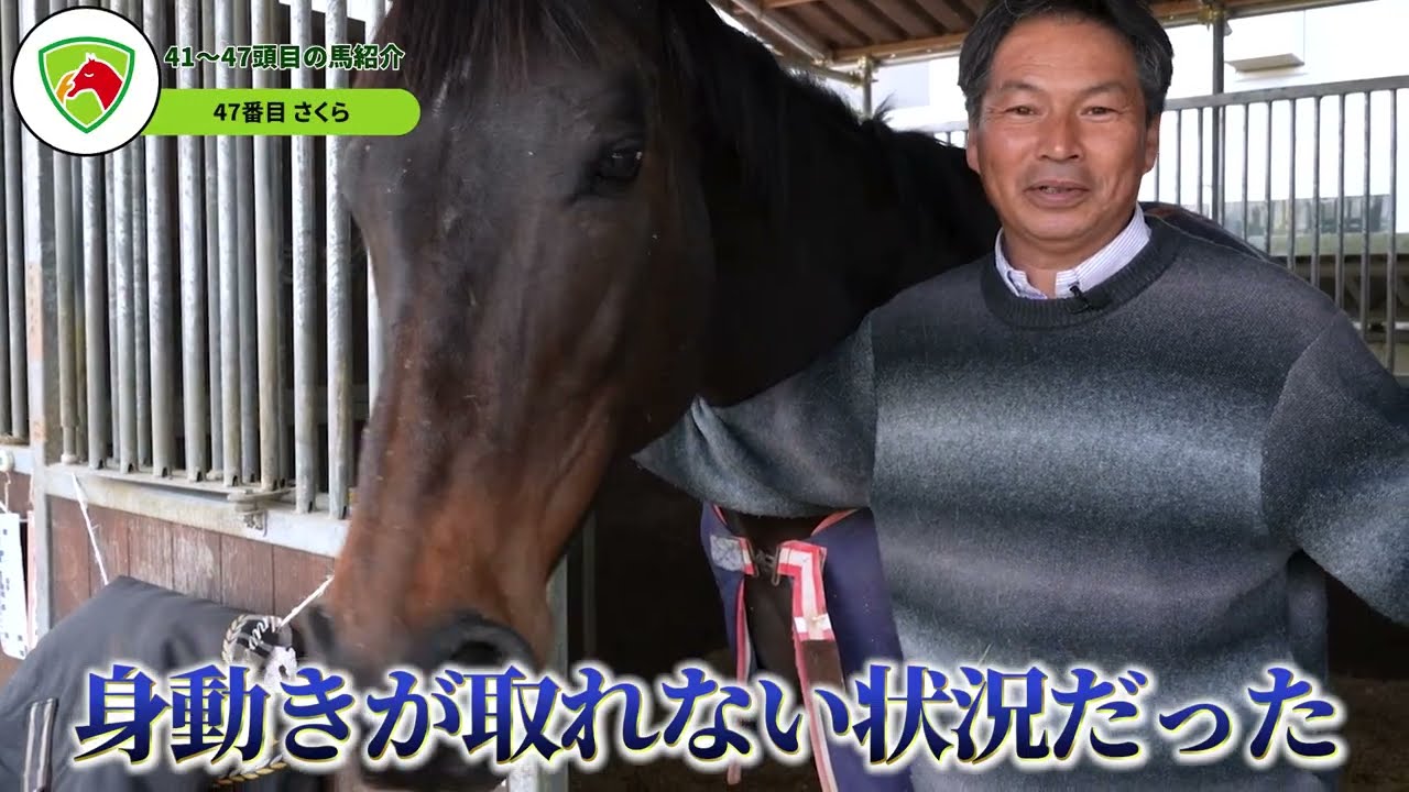 🔴＜41話＞年明けには、引退馬からお肉へ。しかし、1頭のポニーからつながった12月30日の奇跡～　#引退馬 #引退競走馬 #horse #動物 #リタッチ馬 #馬