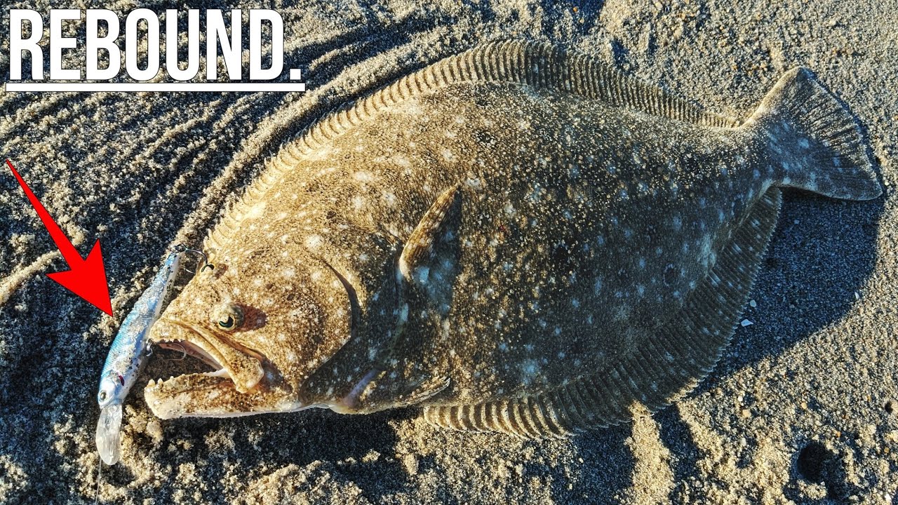 Surf Jerkbait Fluke Breakdown - Flounder Fishing 2024!
