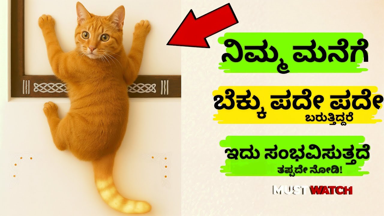 ನಿಮ್ಮ ಮನೆಗೆ ಬೆಕ್ಕು ಮತ್ತೆ ಮತ್ತೆ ಬರುತ್ತಿದೆಯೇ? ಹಾಗಾದರೆ ನಿಮ್ಮ ಜೀವನದಲ್ಲಿ ಆಗುವುದೇ ಇದು Lakshmi Puja ಲಕ್ಷ್ಮಿ