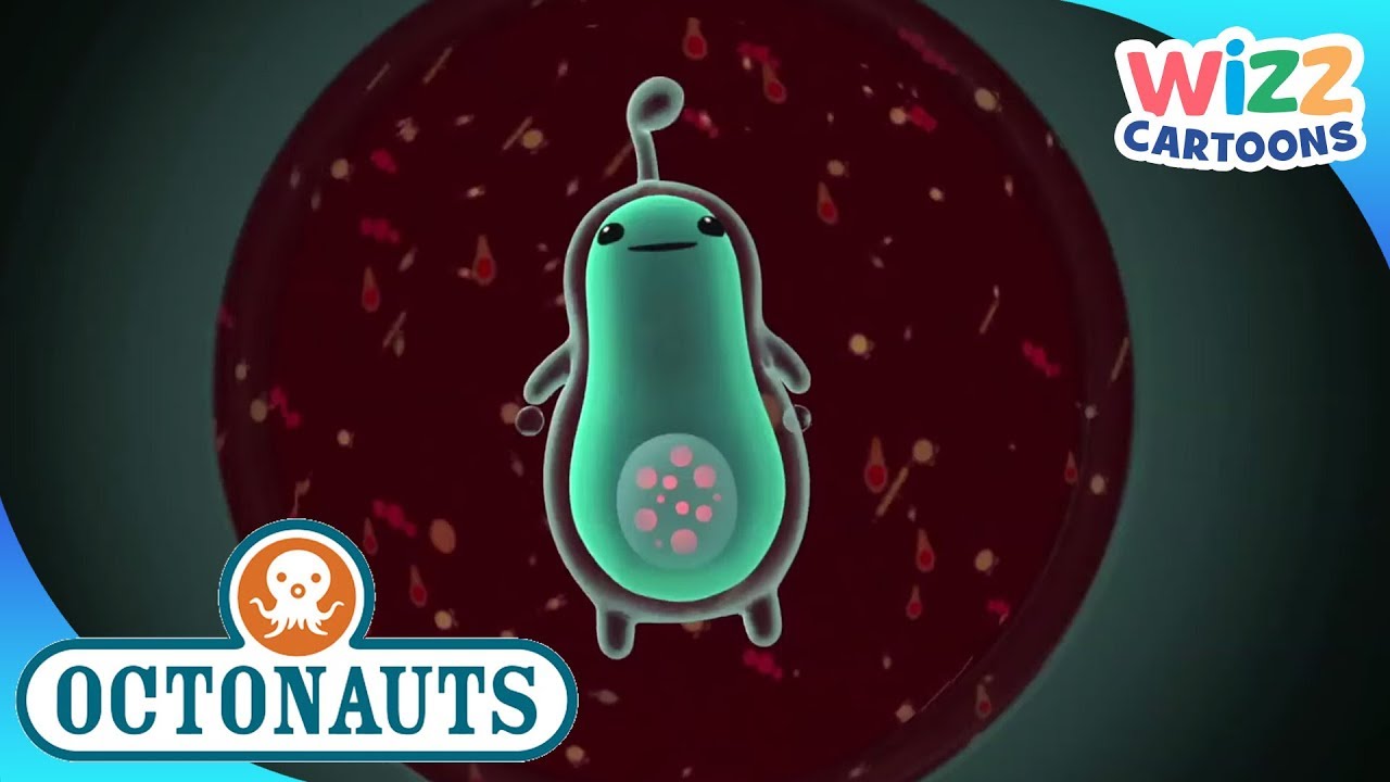 @Octonauts - Invisible Sea Creatures | Compilation | Wizz Cartoons