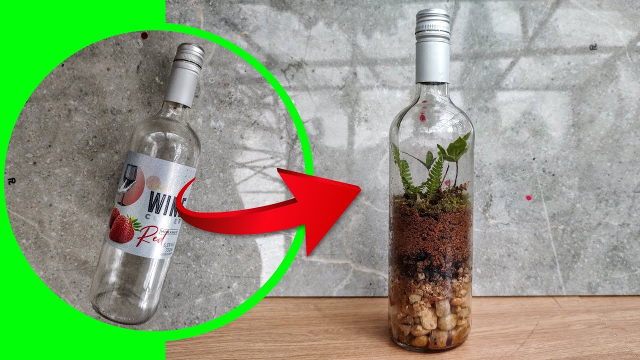 DIY - TRANSFORMEI GARRAFA DE VIDRO EM UM TERRÁRIO! VEJA O PASSO A PASSO!!!