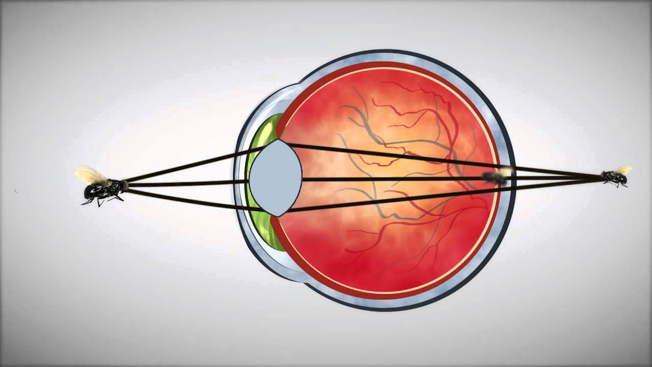 How Lenses for Virtual Reality Headsets Work