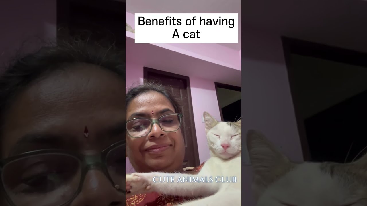 बिल्ली पालने के मुख्य फायदे (Benefits of Keeping a Cat)#cats #catsofinstagram 