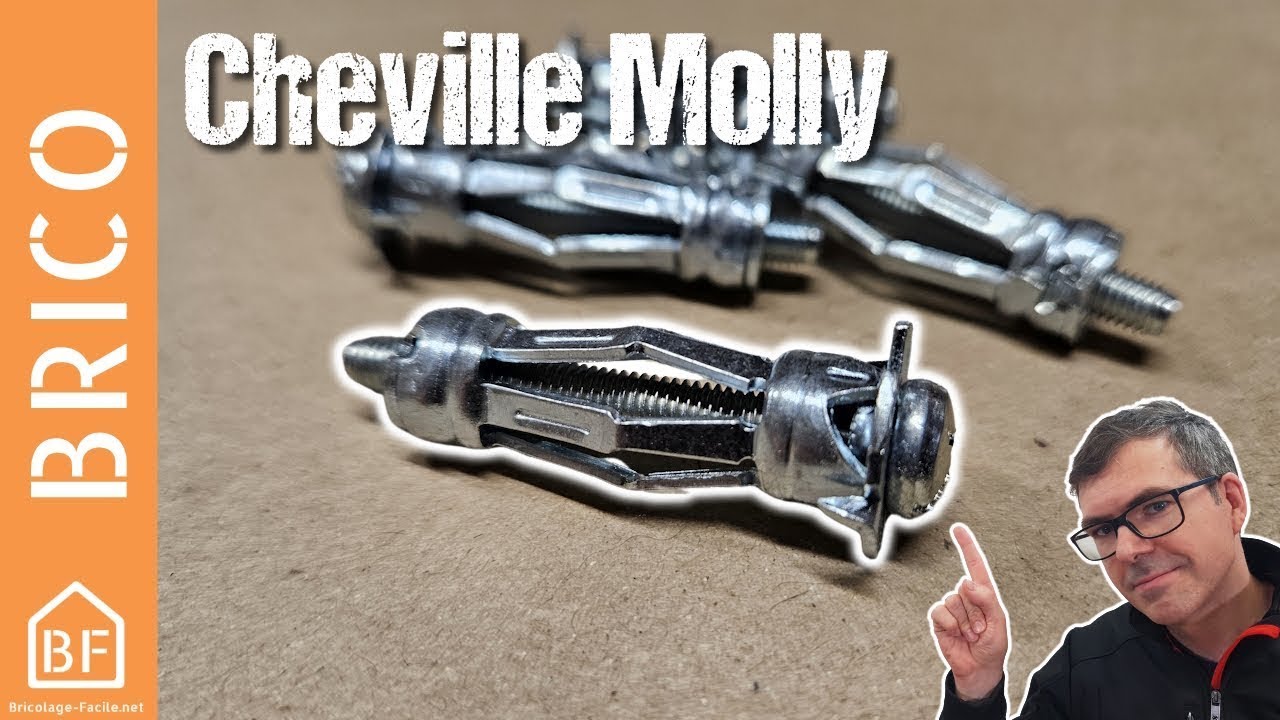 Tout savoir sur les chevilles Molly