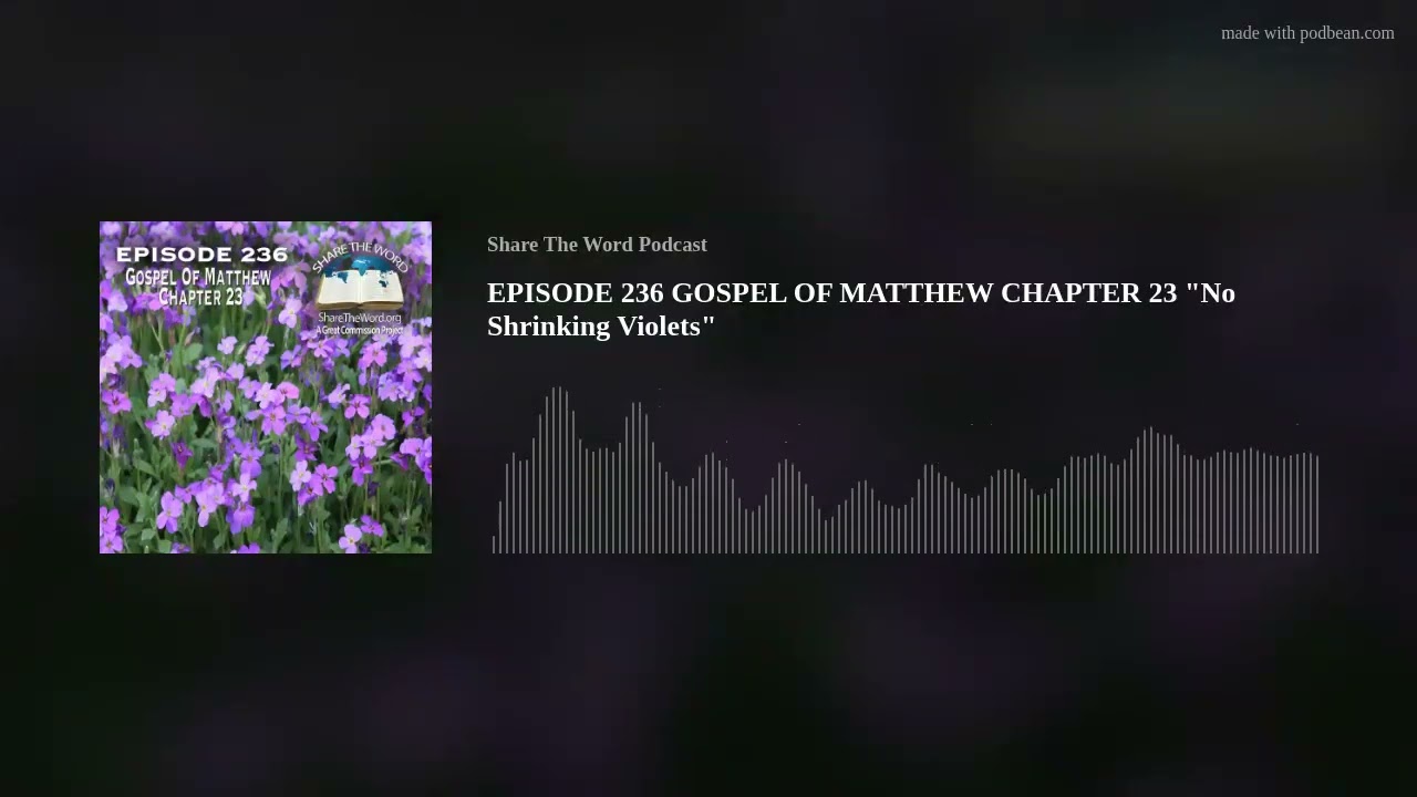EPISODE 236 GOSPEL OF MATTHEW CHAPTER 23 "No Shrinking Violets"