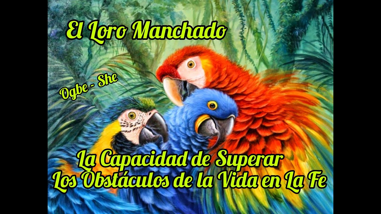 La Capacidad Para Superar Los Obstáculos en La Fe. Patakin del  Loro Manchado y Enseñanza. Ogbe She