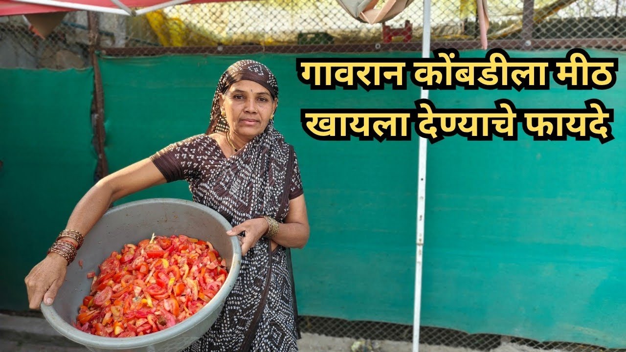 गावरान कोंबडीला मीठ खायला देण्याचे फायदे #gavrankombdi #gavrankukutpalan #desipoultry 