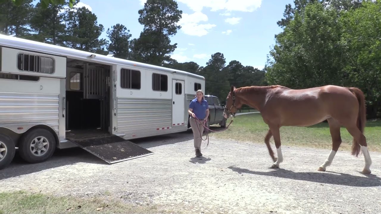 A Few Things About Trailering