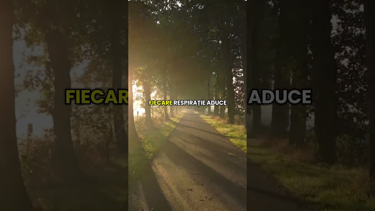 Pentru toți cei plecați departe, dar care poartă acasă în inimă 