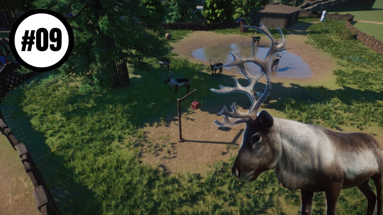 Parco Faunistico della Zebra Reale #09 - Enclos des rennes - Planet Zoo