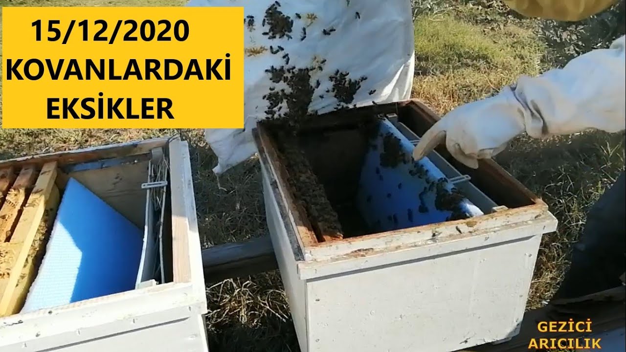 Bu kovanlar kışı nasıl çıkarır. Kışa girmeden kovanlardaki eksiklikleri gördük.beekeeping. Arıçılıq