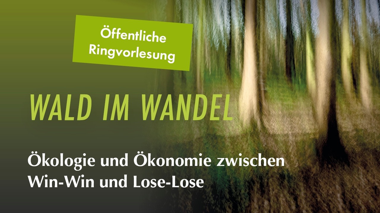 Ökologie und Ökonomie: Auf der Suche nach evidenzbasierten Kompromisslösungen für den Wald