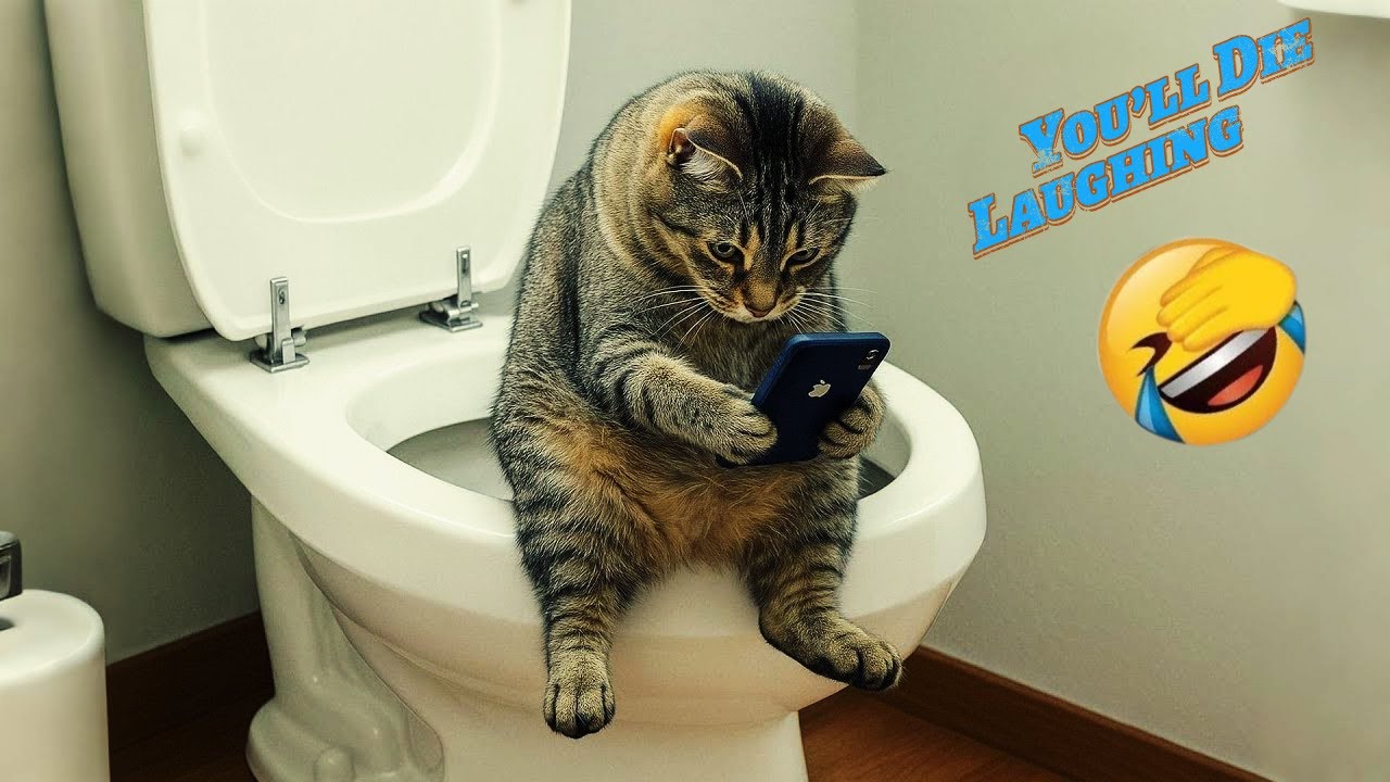 Funniest Moments Caught on Camera 😂 | Viral Animal Fails