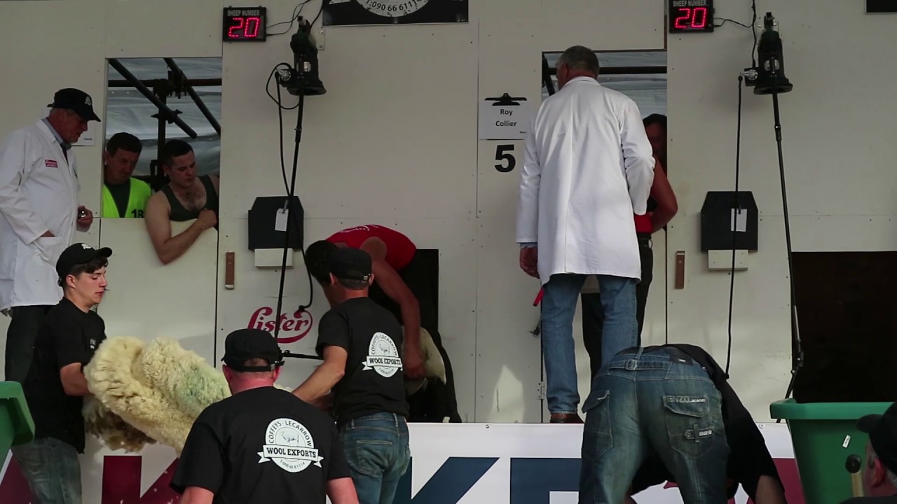 All-Ireland sheep shearing final