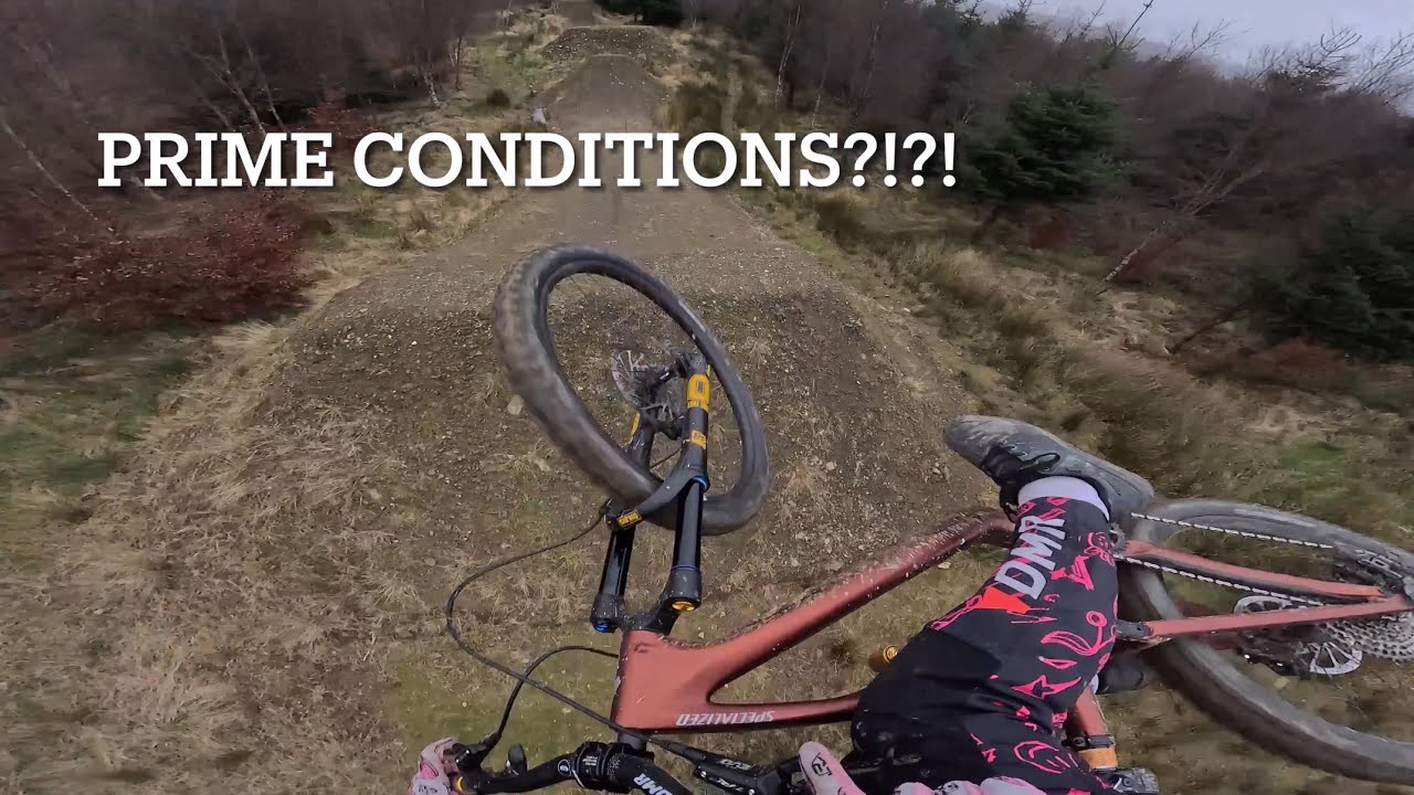 Did BikePark Wales Survive Storm Darragh?!? (Things got loose!)