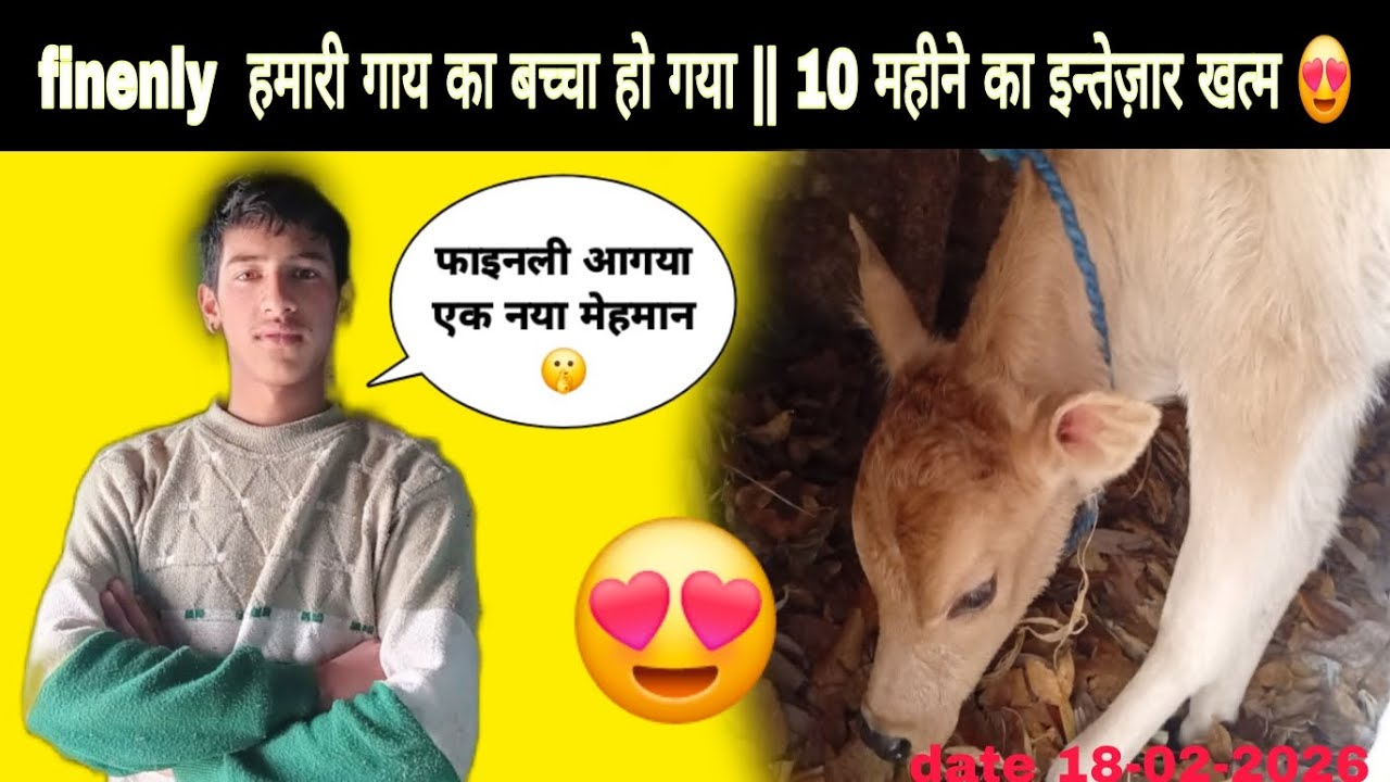 लंबे समय के बाद आ ही गया नया  मेहमान 🤭 || 10 महीने का इंतजार खत्म || bishtaadivlog #culture #vlog 