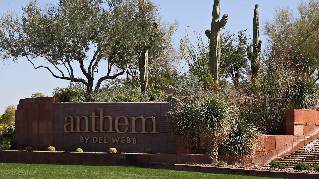 Out and About Anthem/AZ: Desert Ride
