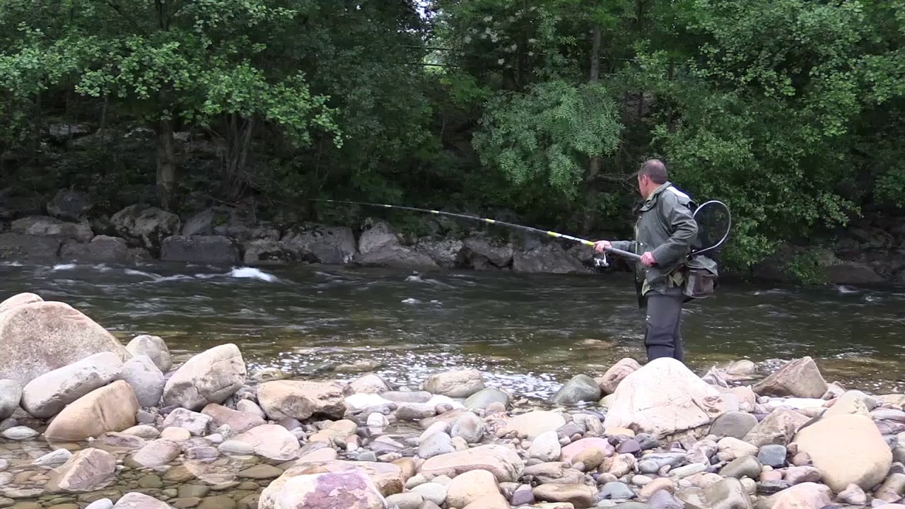 Caza y Pesca | Truchas en Alceda |  31.5.2019