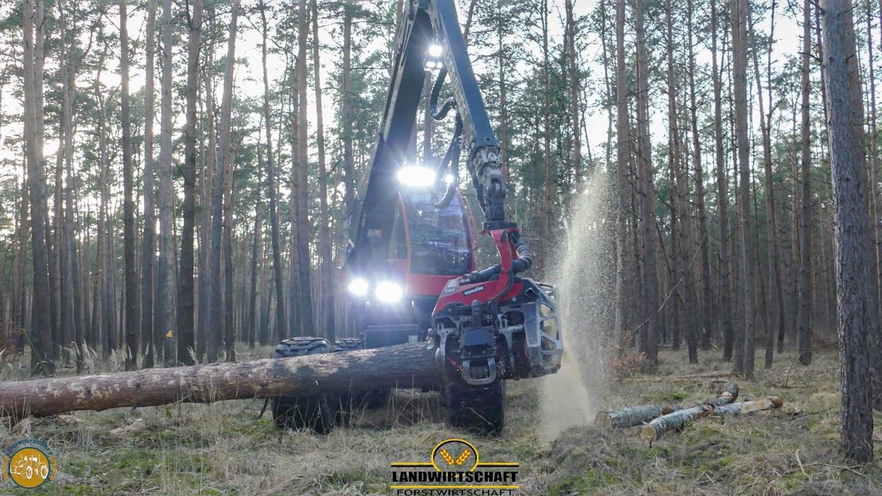 Komatsu 931xc Harvester im Starkholz Holzerntemaschine im Einsatz der Kampf gegen den Borkenkäfer
